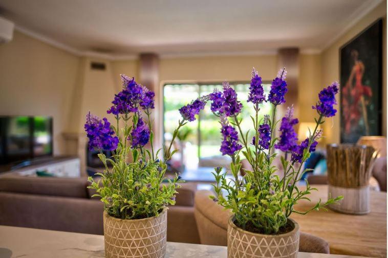 2Bedroom Bungalow Heated Shared Pool ,Near Carvoeiro And Ferrugudo Carvoeiro (Lagoa) Exterior foto